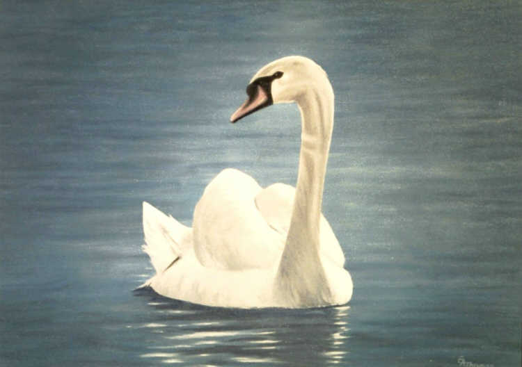 Swan at Bibury by Edward Thomas
